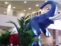 Texas Convention Booth