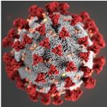 Coronavirus, China & World War III