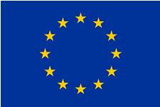 European Union Flag
