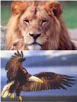 Daniel's Dream: America & EU in the Bible