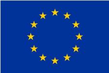 European Union Flag