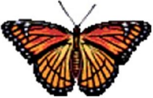 Rapture: Transformation from Life to Eternal Life