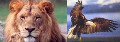 Daniel's Dream: America & EU in the Bible