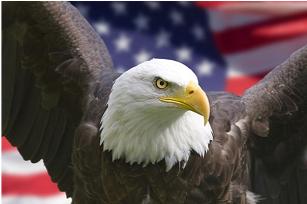 America in the Bible