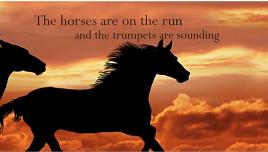 Black Horse of Trade